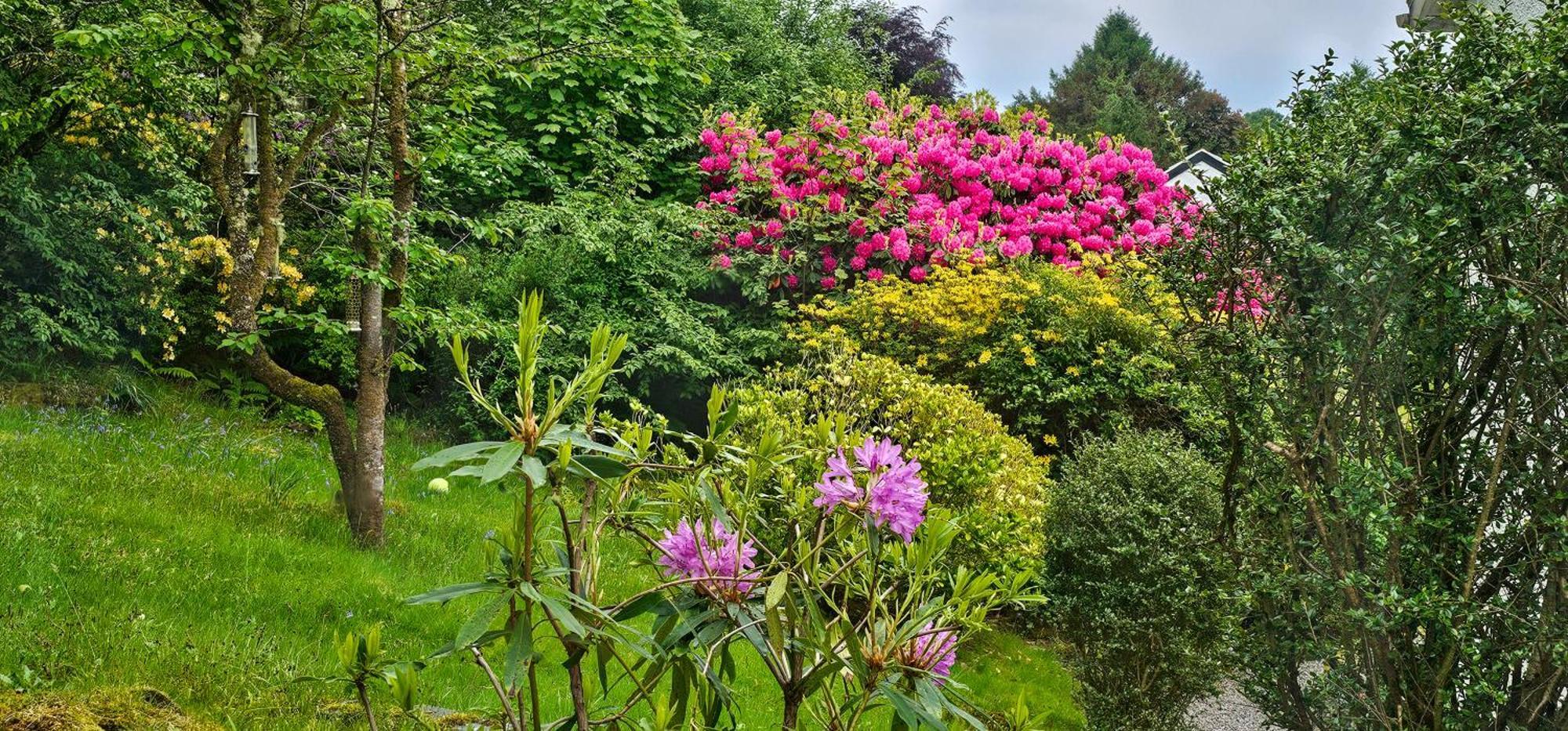 Ards House Bed and Breakfast Oban Exteriör bild